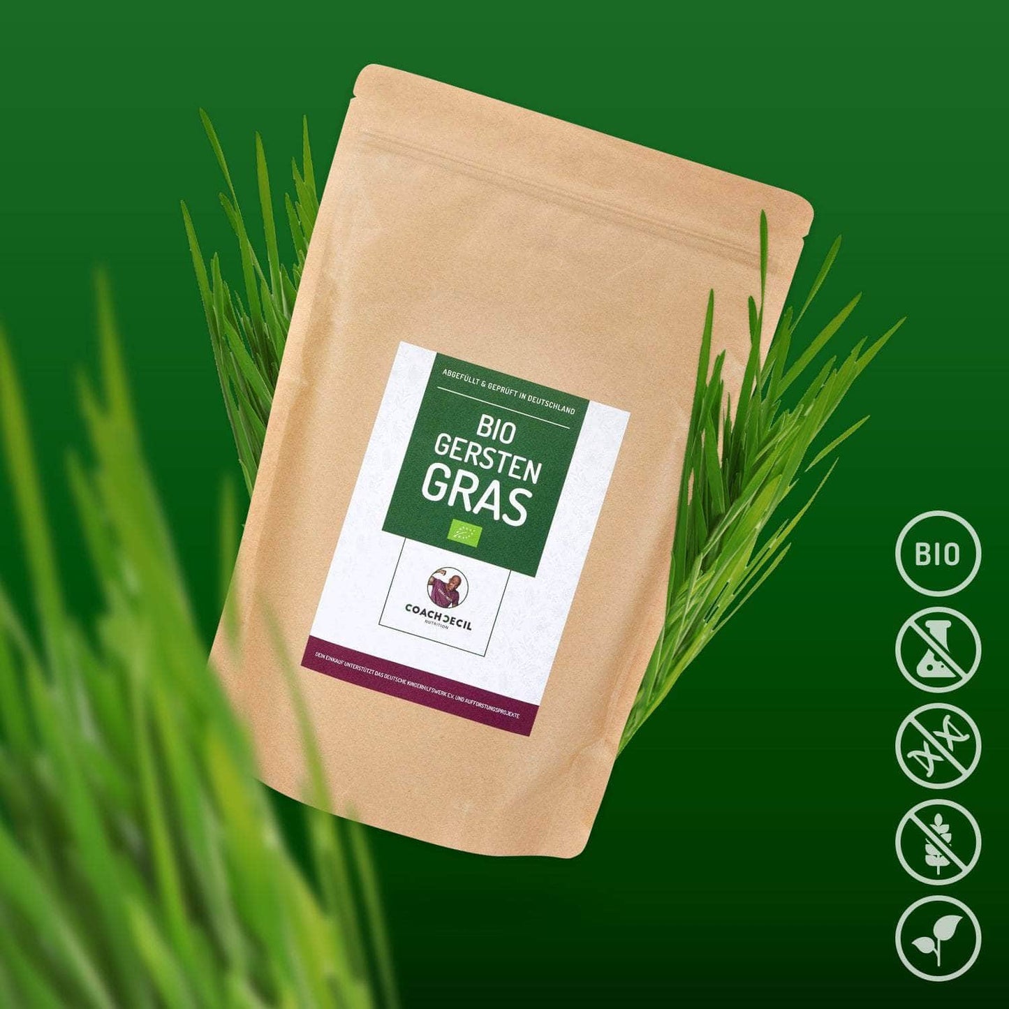 BIO Gerstengras Pulver in reiner und geprüfter Qualität - vegan