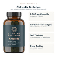 Chlorella Tabletten: die wichtigsten Fakten auf einen Blick