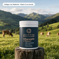 Kollagenpeptide + Vitamin C: vom Weiderind – Dose auf der Weide
