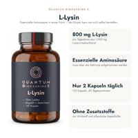 L-Lysin: die wichtigsten Fakten auf einen Blick