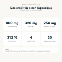Vitamin C + OPC: das steckt in einer Portion (Nährstoffe, Zutaten)